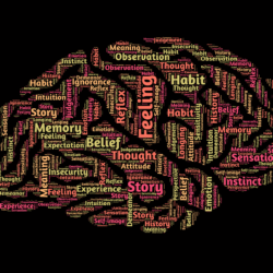 Understanding the Teenage Brain